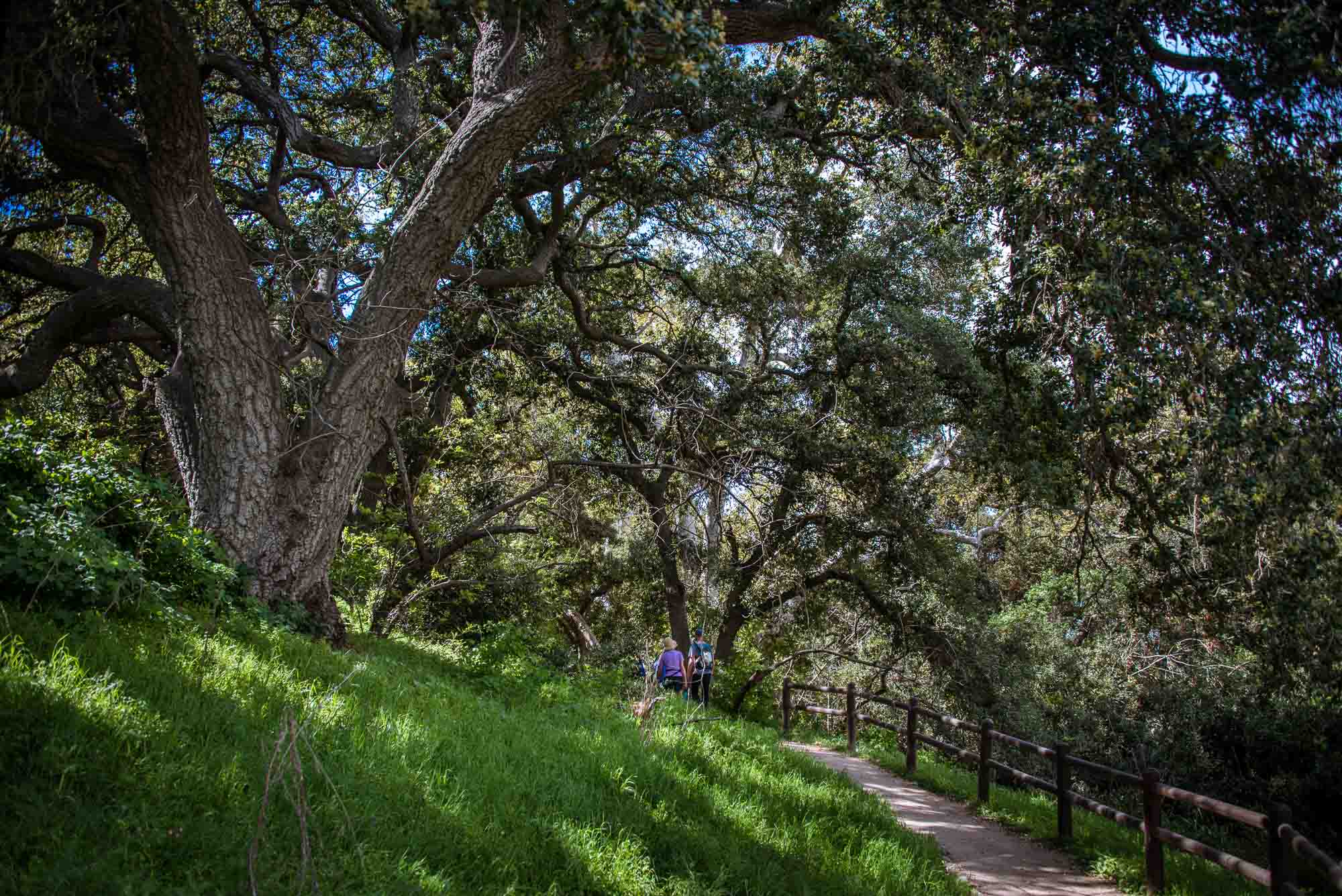 Tres Hermanos Ranch, Upper Tonner Canyon