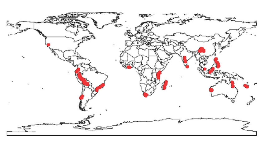 Global Hotspots of Biodiversity Map